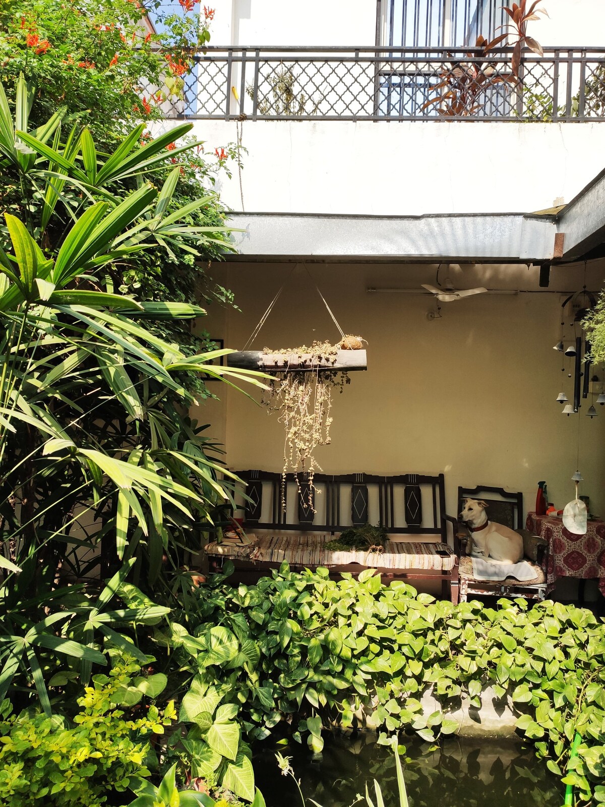 Backyard Bliss Homestay