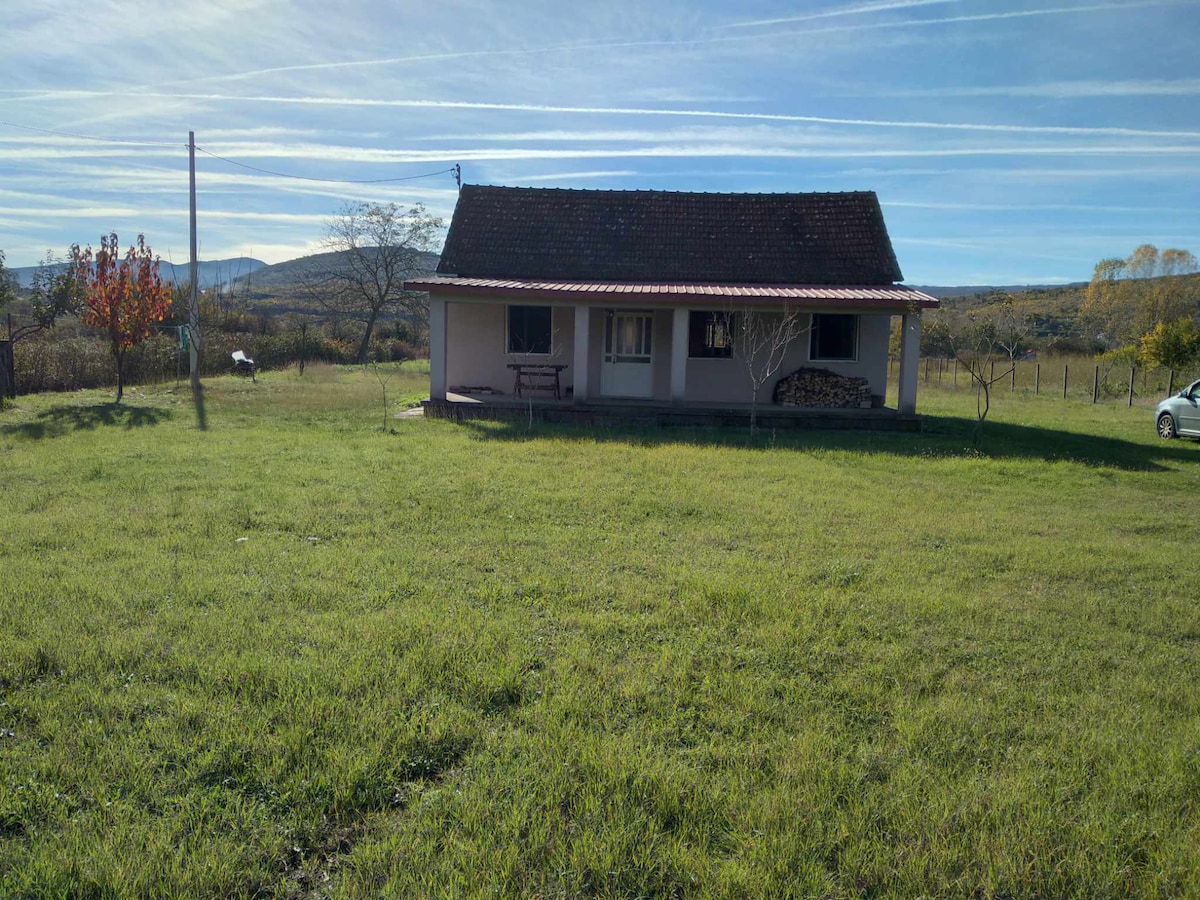 Ethno-rural house in nature