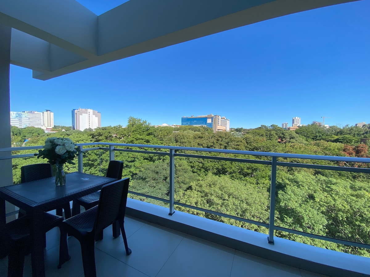 Gorgeous appt. in the best area of Asuncion !