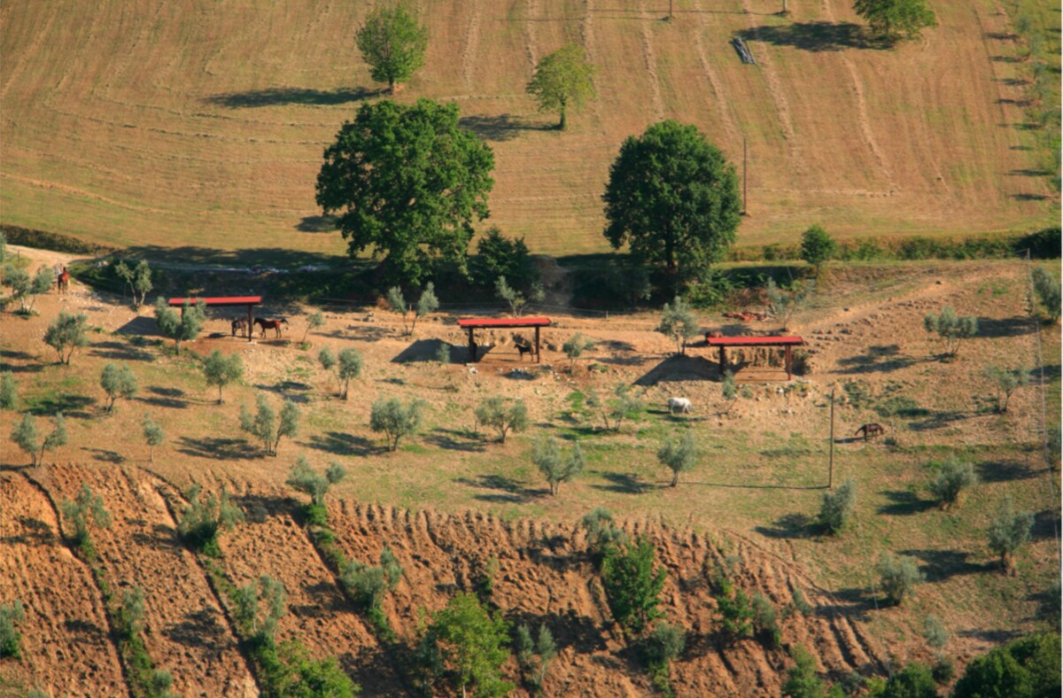 Casale di Alice natura e relax