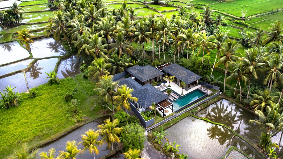 巴厘岛幸福：乌布之心宁静的5卧室度假屋