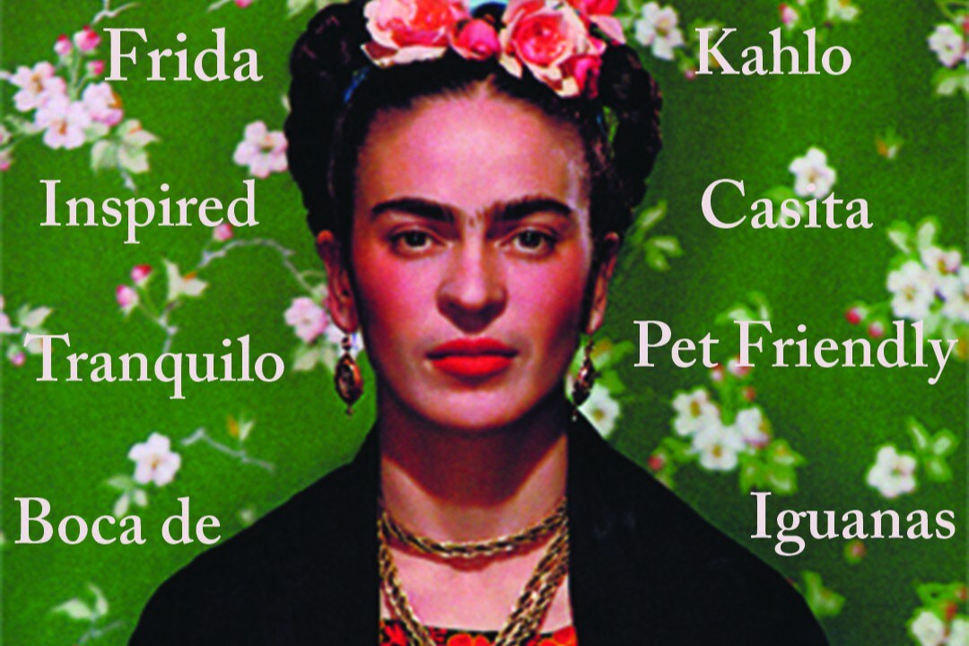 Frida Kahlo Inspired Casita 2