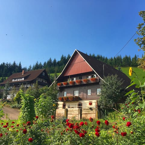 Oberkirch的民宿