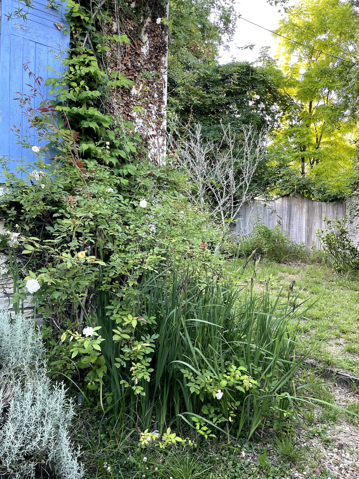 Maison dans le Périgord avec grande piscine