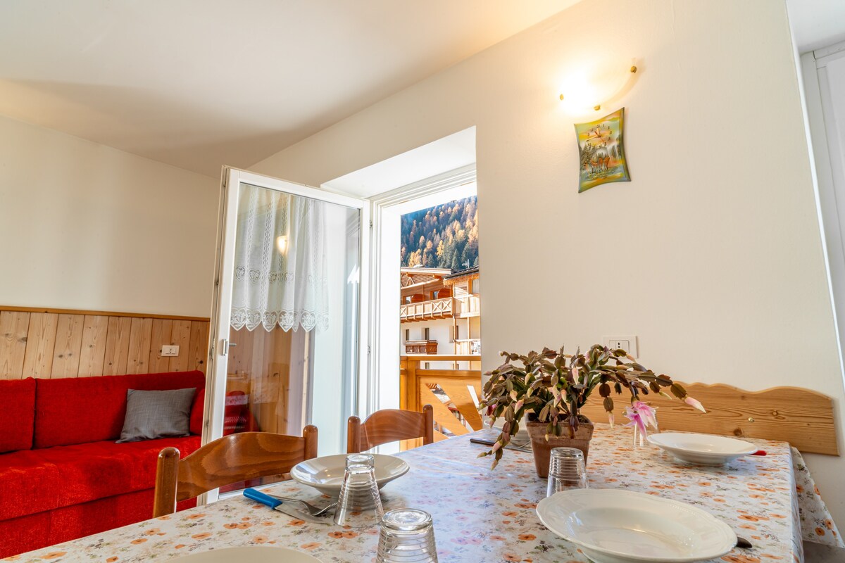 Cogolo Apartment - Balcony with Valley View