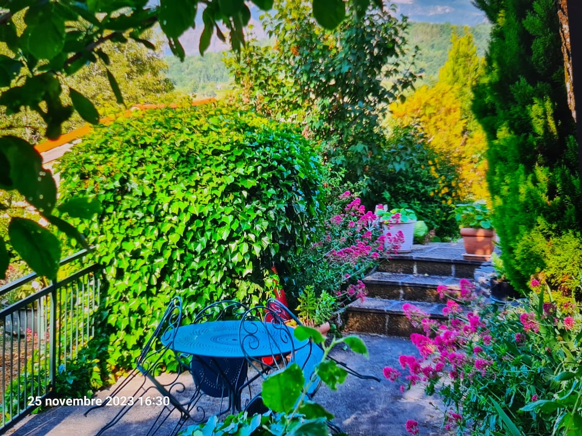 Studio des monts du matin