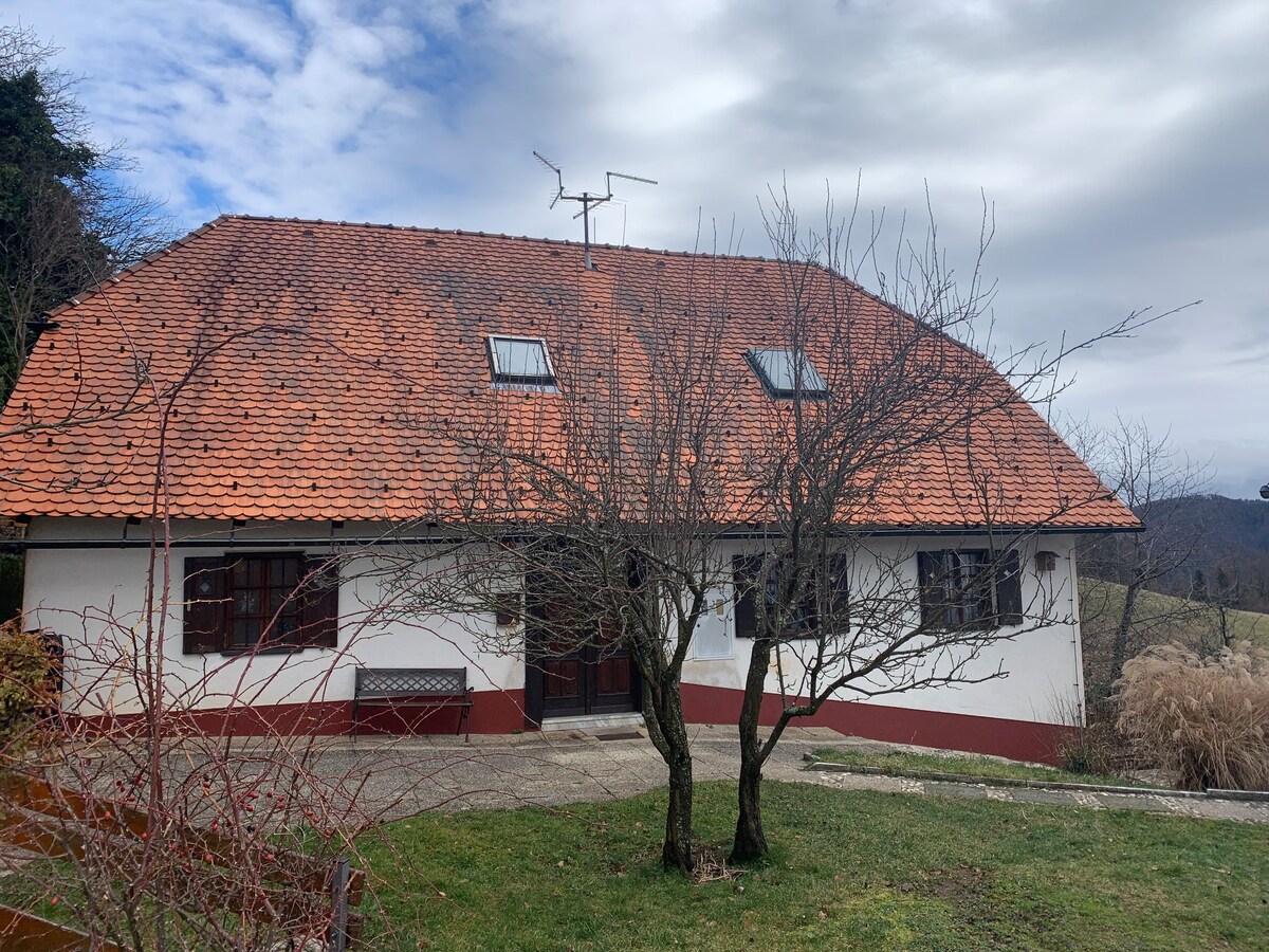 Altes slowenisches Bauernhaus
