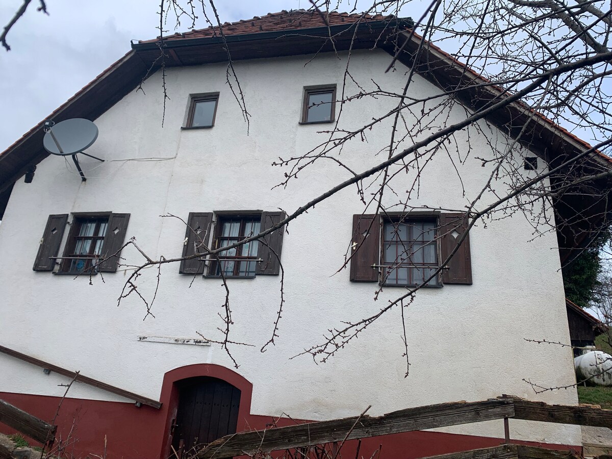 Altes slowenisches Bauernhaus