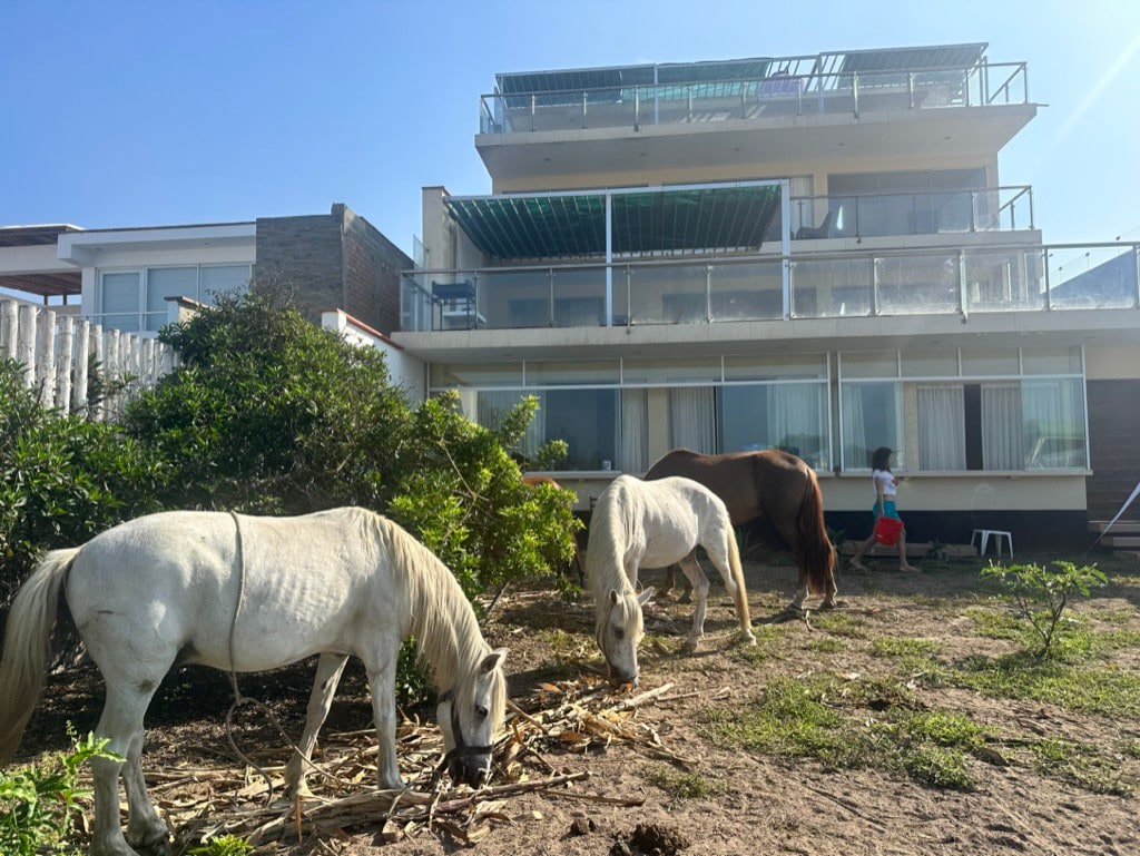 Room in Asia - Country House/Beach/Horses