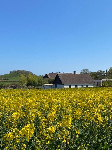 Skønt hus i rolige omgivelser