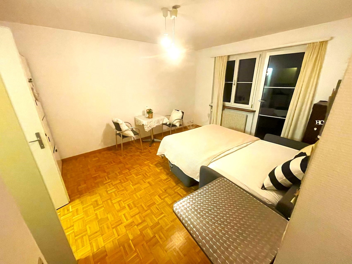 舒适的单间公寓，位于苏黎世老城中心，阳台UNT