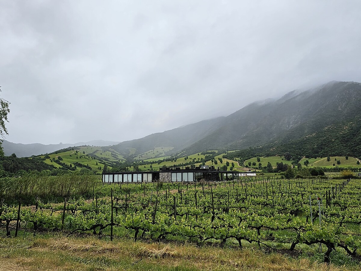 Apartamento entre viñedos.