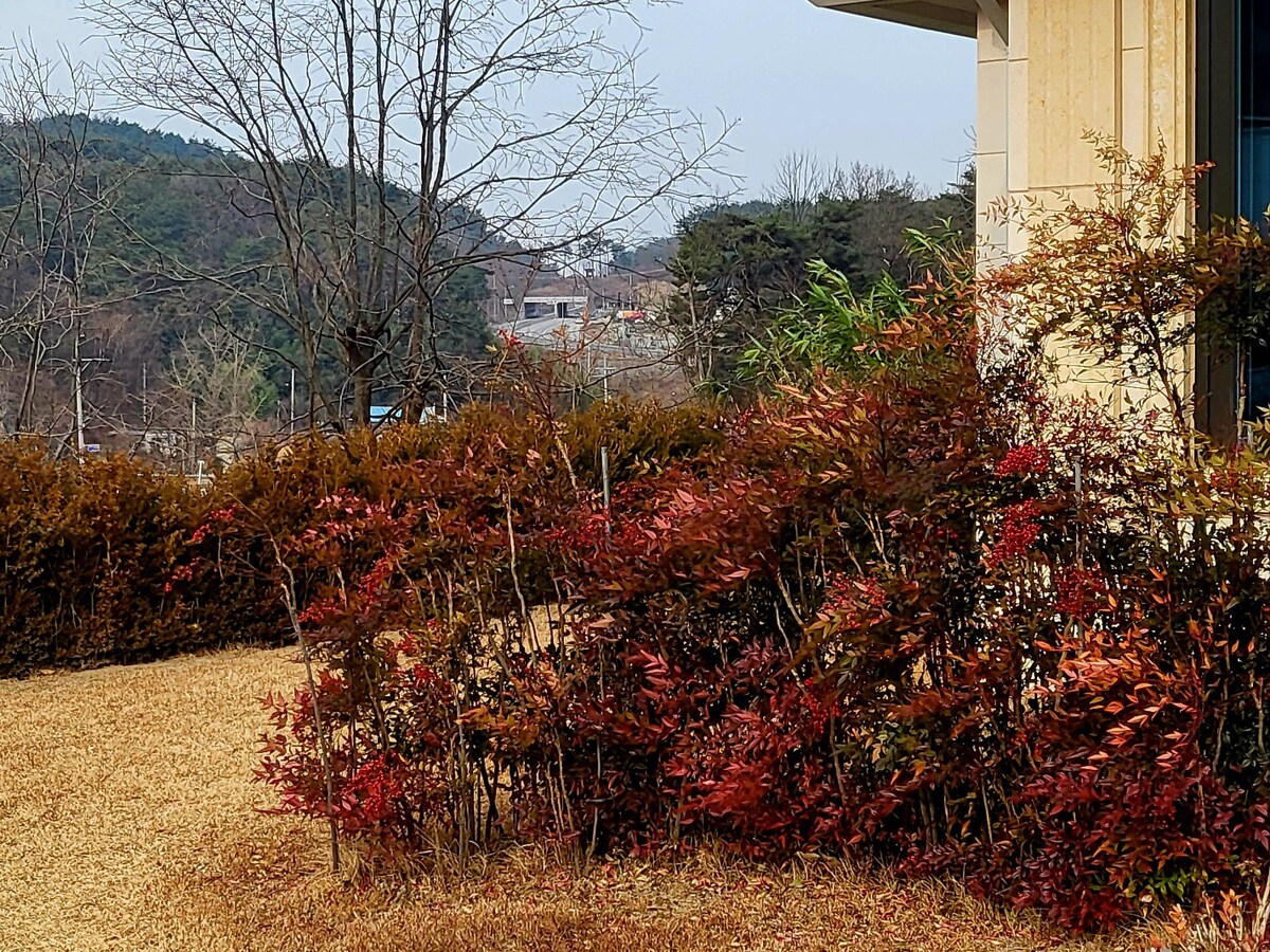 헤르만의 정원 in 강릉
