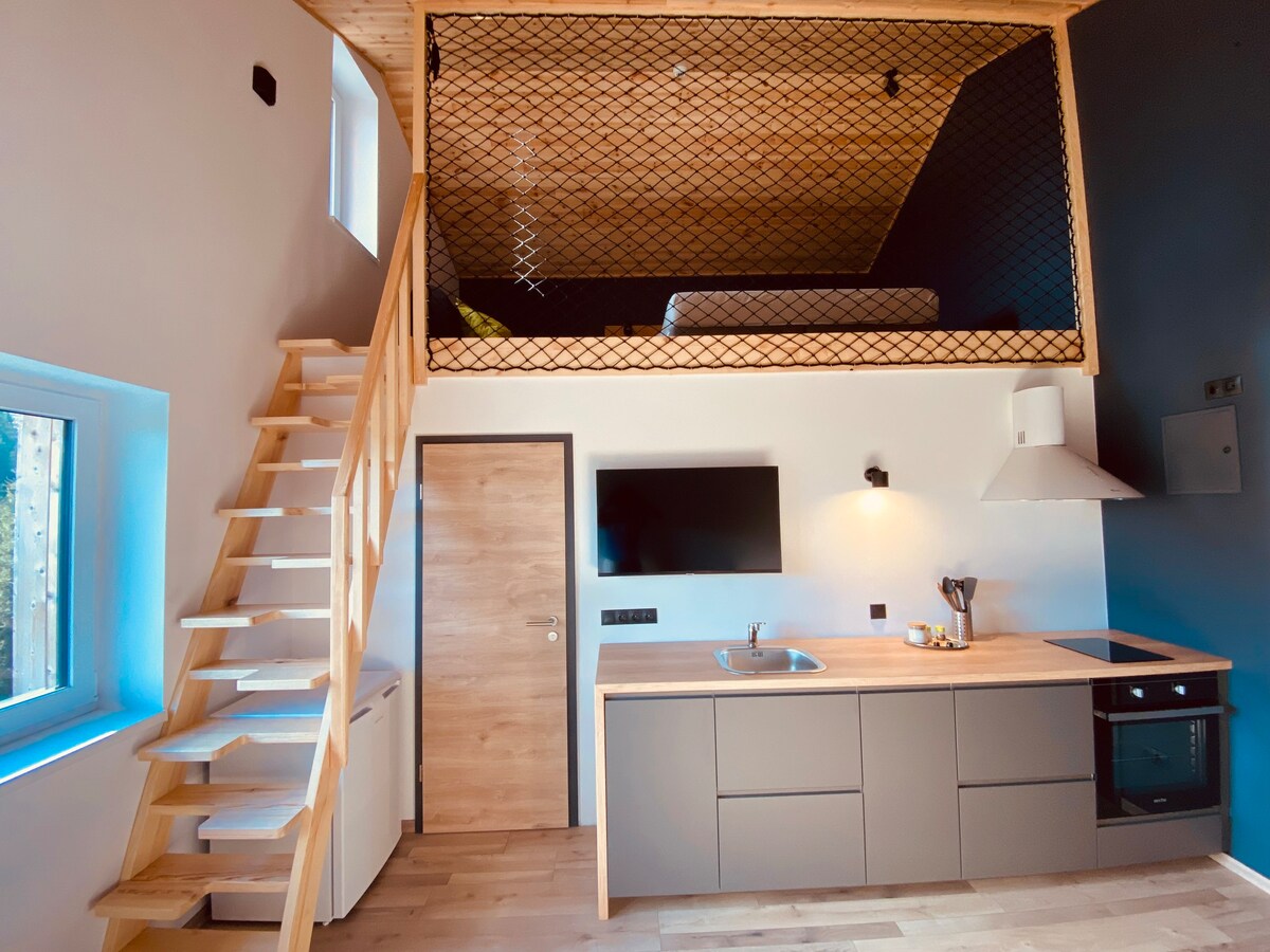 Nordic Apartamente Păltiniș Studio două niveluri