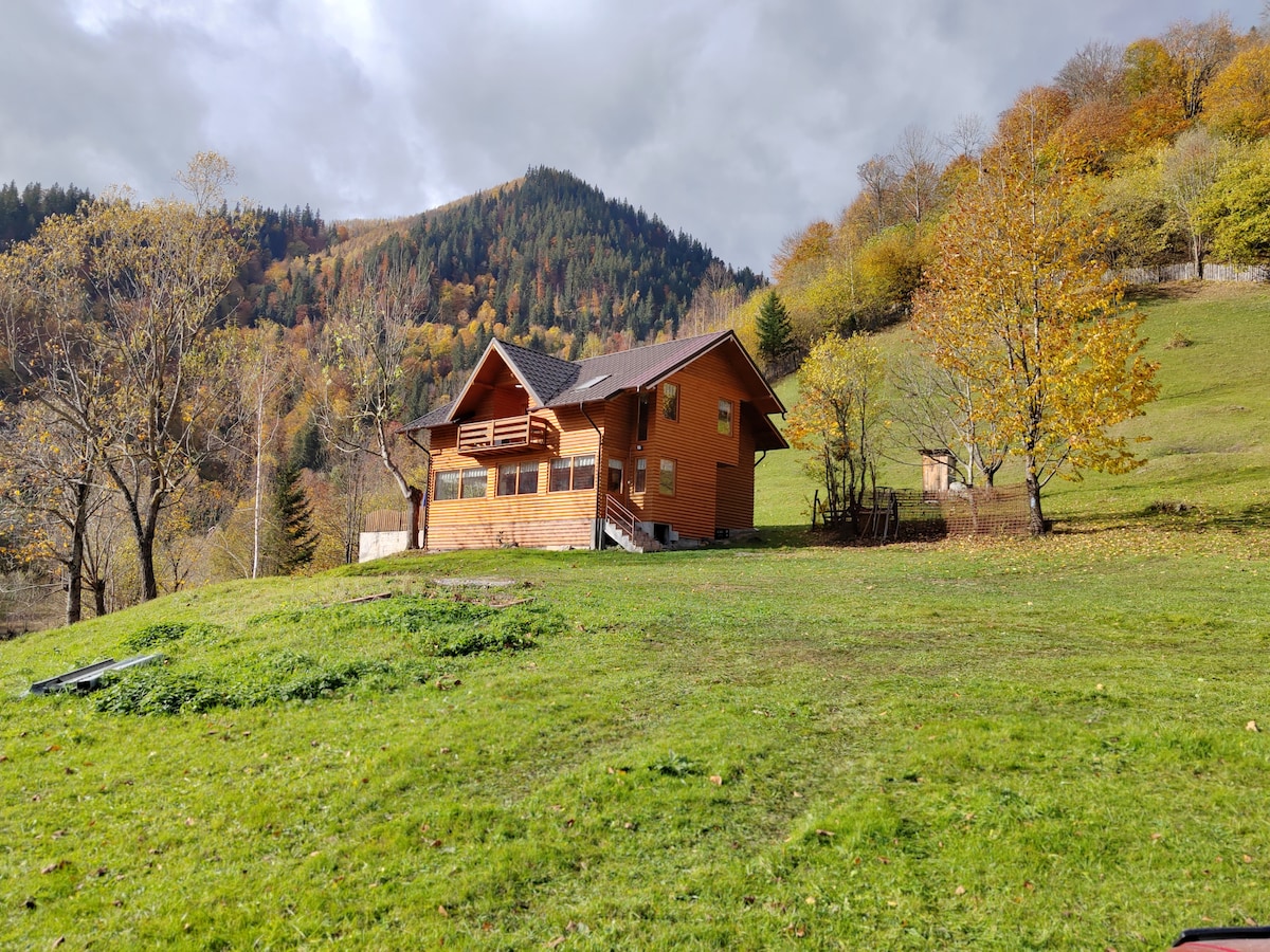 Deer Chalet Brosteni