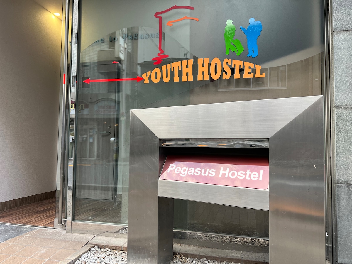 Pegasus hostel (only for Ladies) 308