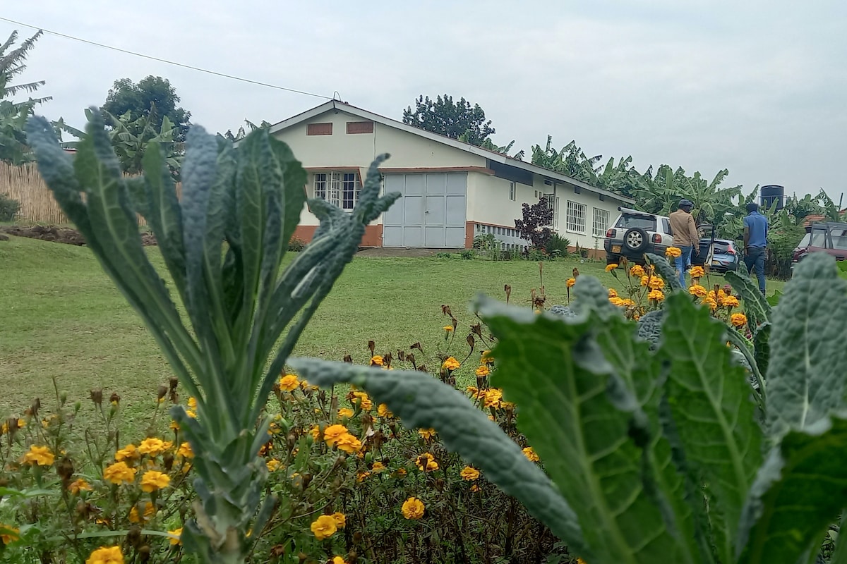 B&B Room in Boma, Fort Portal