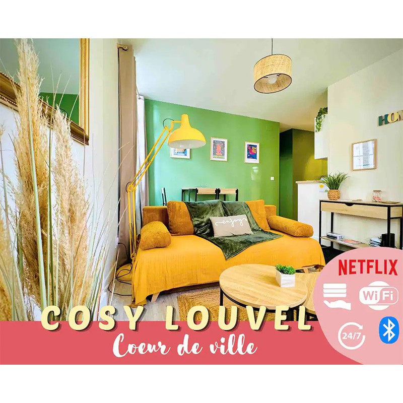 Superbe 2 pièces cosy cœur de ville | Netflix