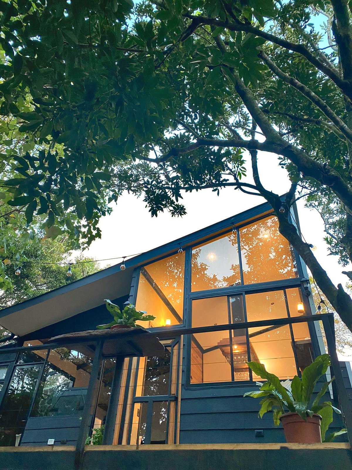 My Amazing Black House: In the cloud forest