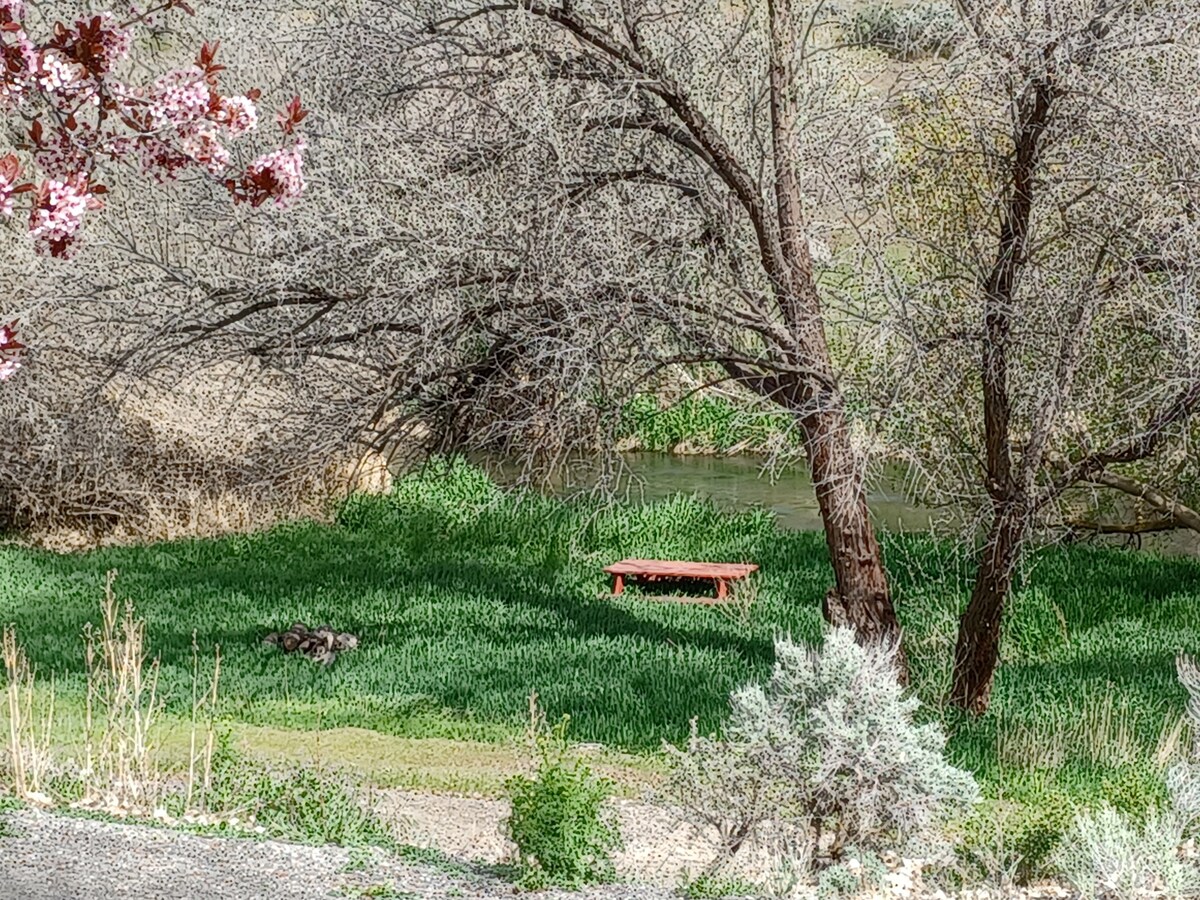 Amazing Snake River Canyon Creekside View Retreat