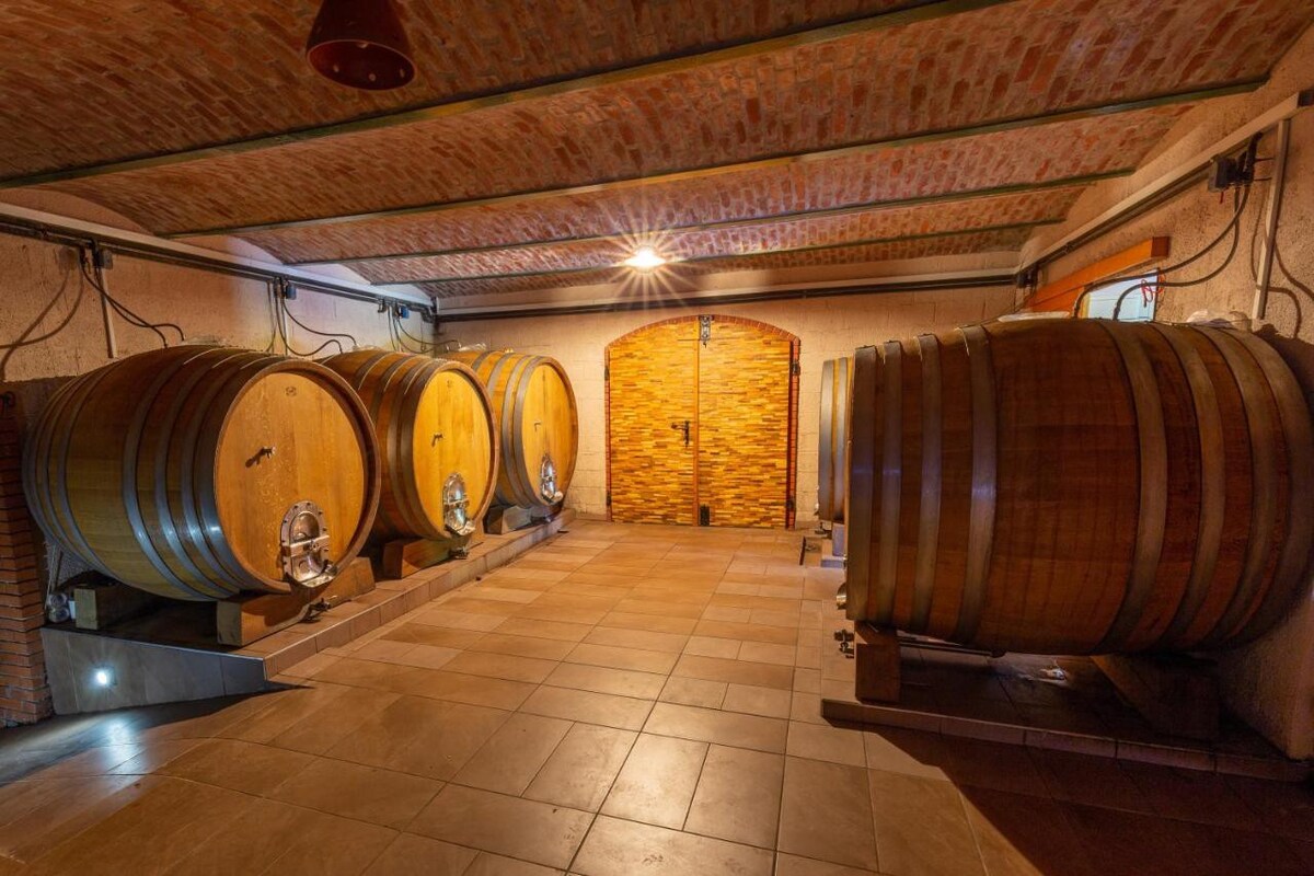 Tourist farm Pungračič | Room 1 in Wineyard + SPA