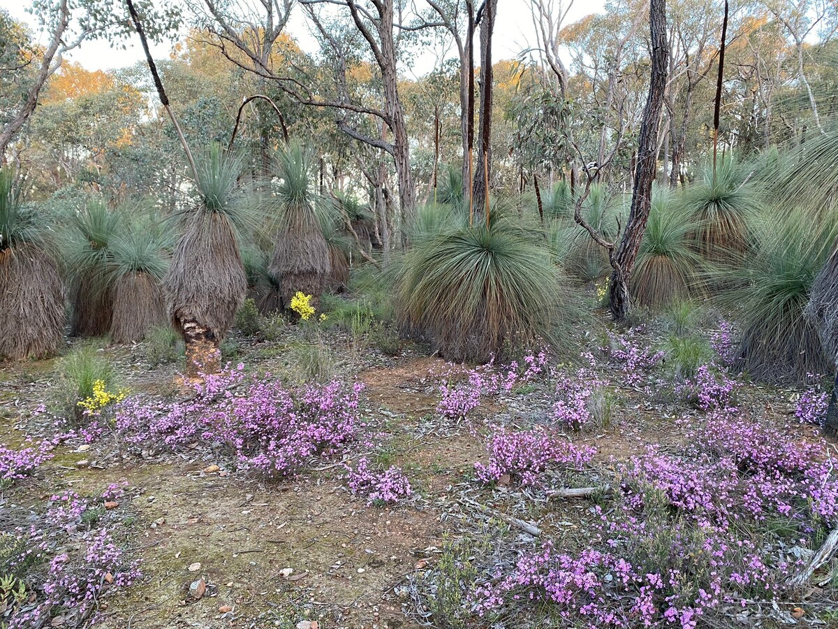 Nagambie Naturestay