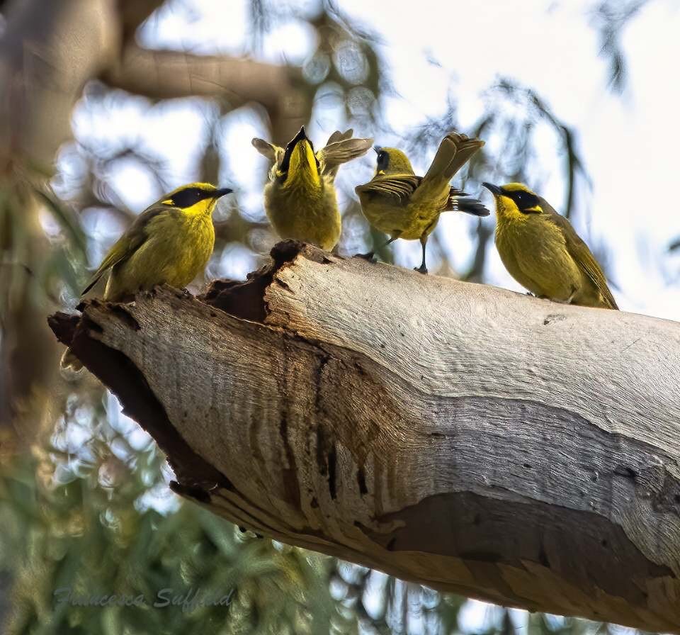 Nagambie Naturestay