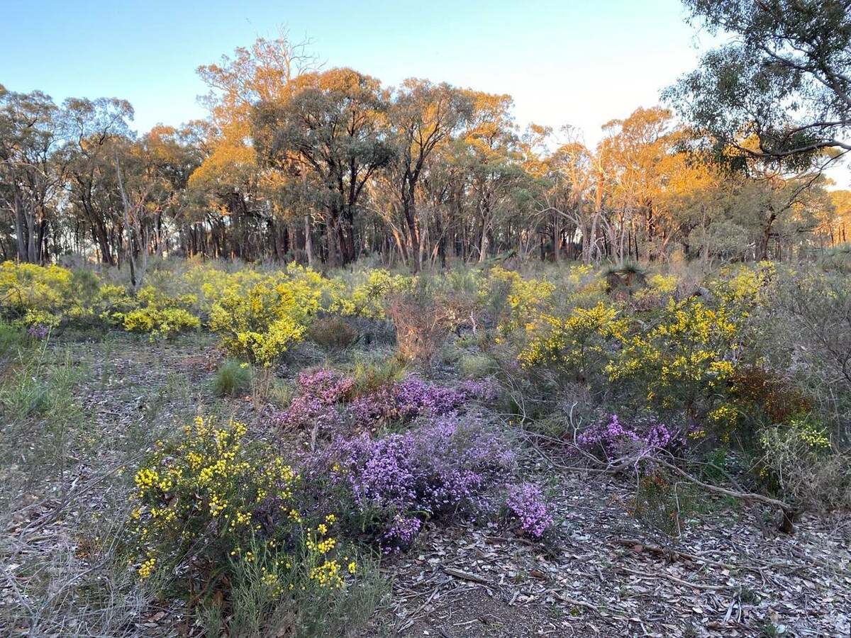 Nagambie Naturestay