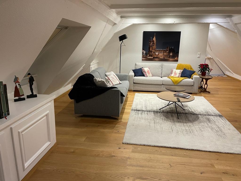 Appartement authentique proche de Strasbourg 15min