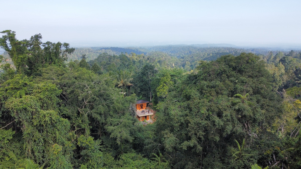 Secluded Rainforest Cabin for nature lovers