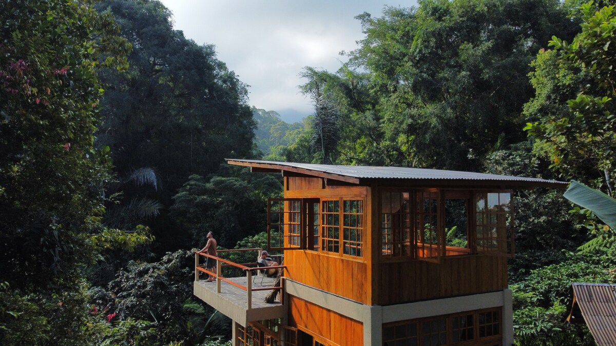 Secluded Rainforest Cabin for nature lovers