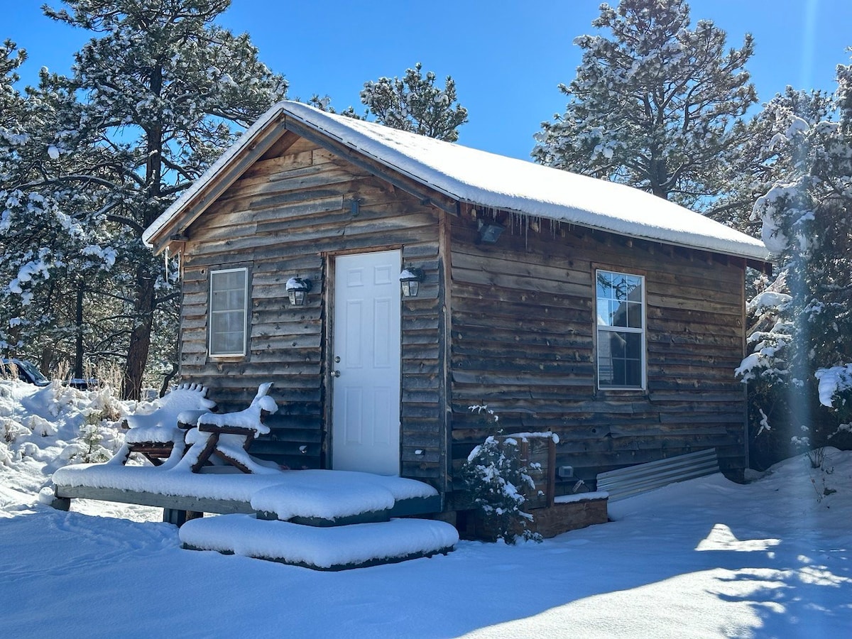 Forest Horse & Chicken Ranch Homestead