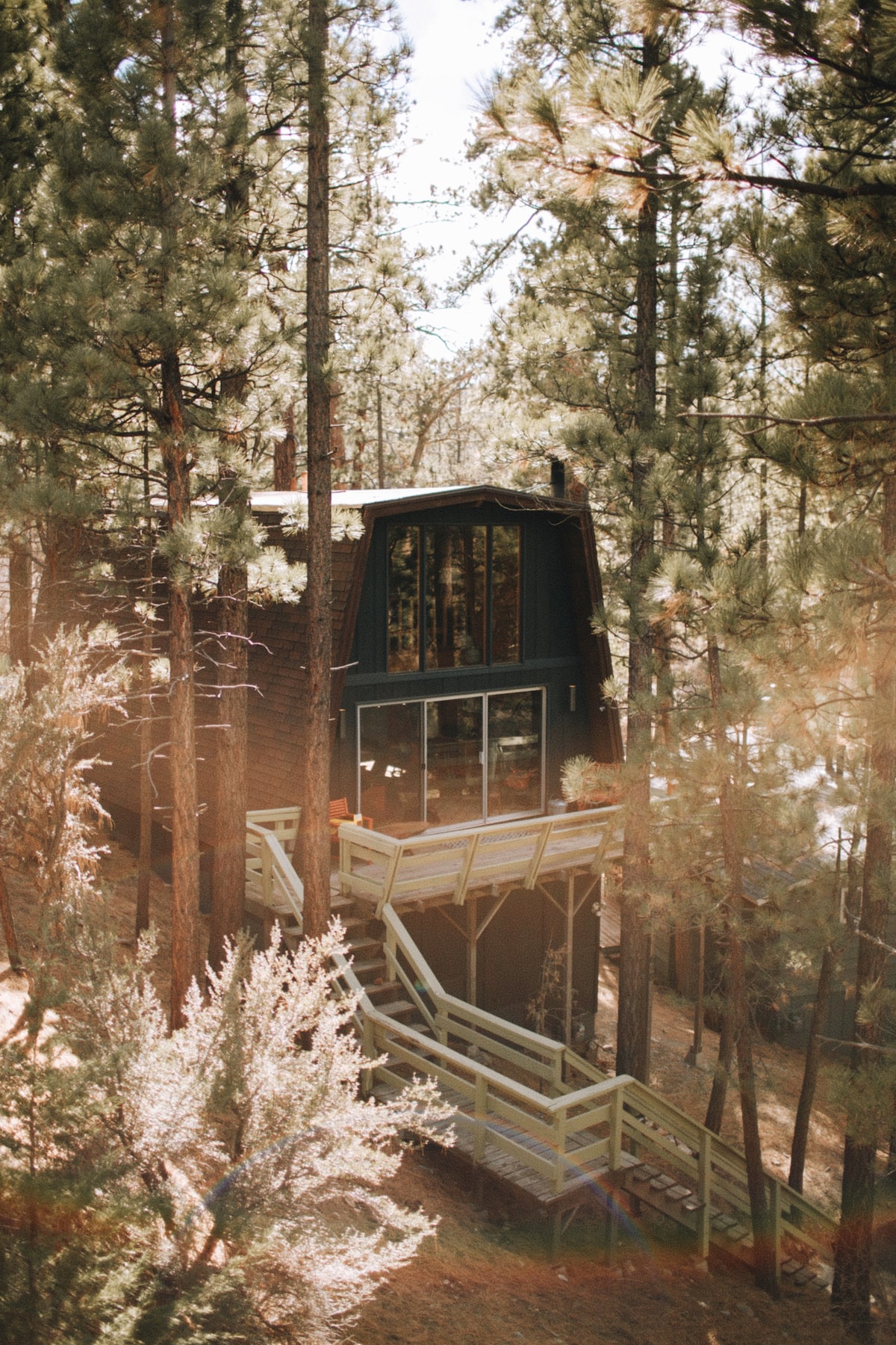 Big Bear Treehouse -森林后院，世纪中叶