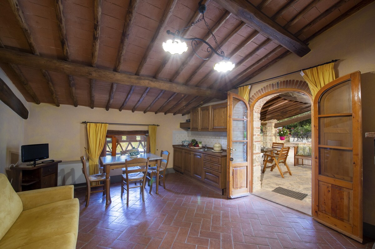 Villa Chianti with exclusive pool and typical barn