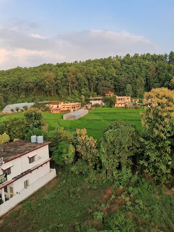 德拉敦(Dehradun)的民宿