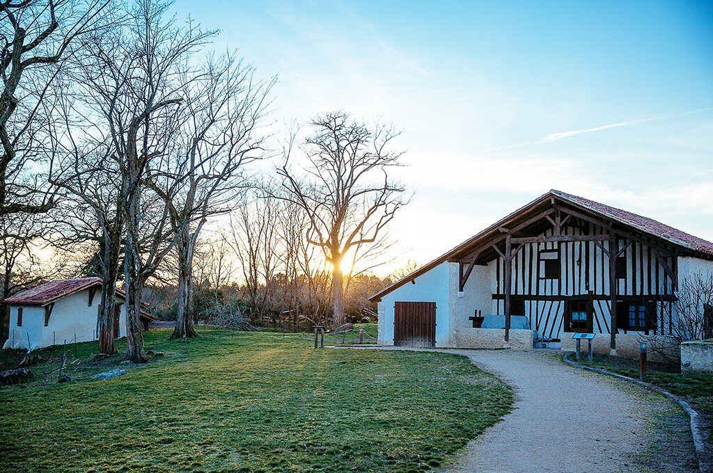 Gîte à la ferme des 9 Fontaines - La Cistude