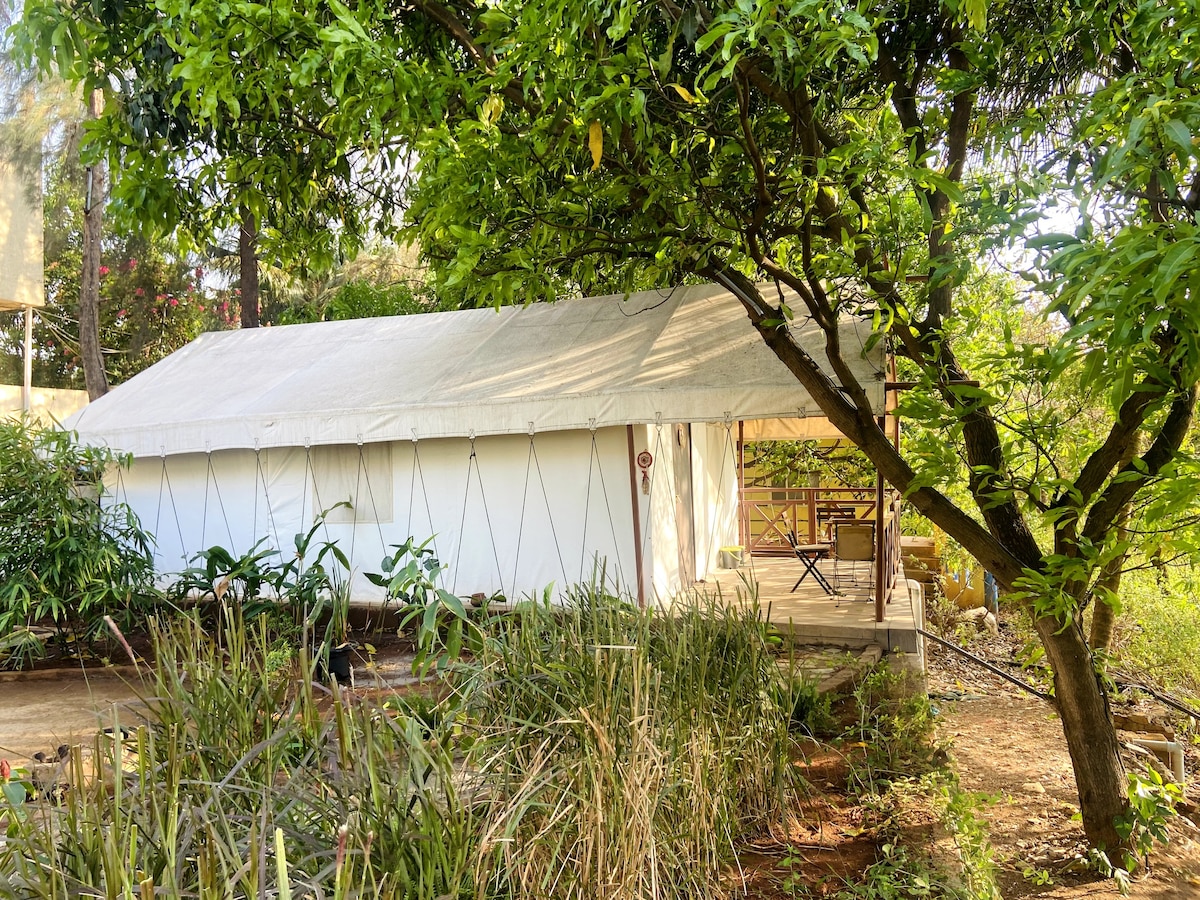 浪漫的森林度假木屋帐篷住宿