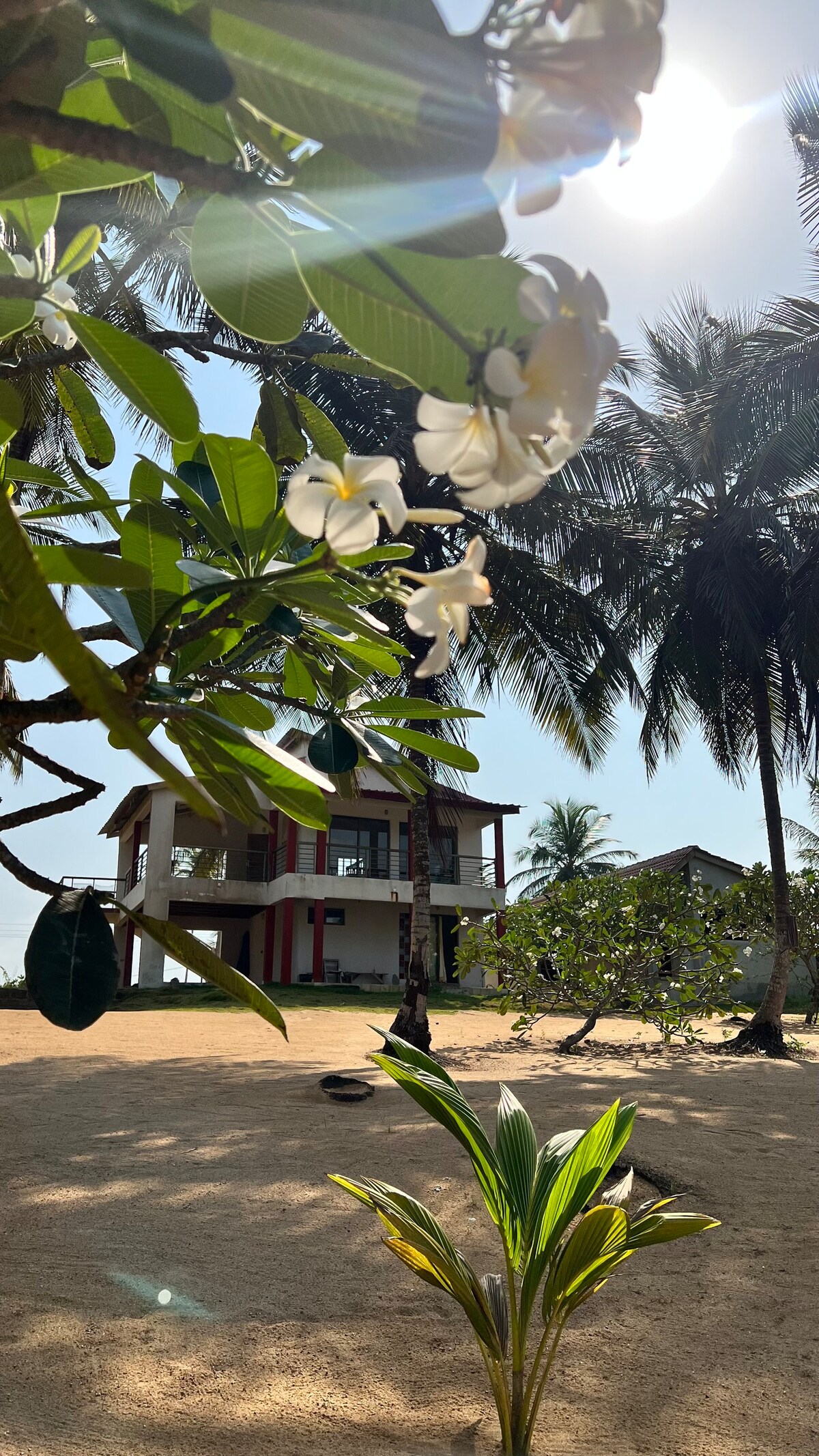 La Maison SHAZ - Bord de mer