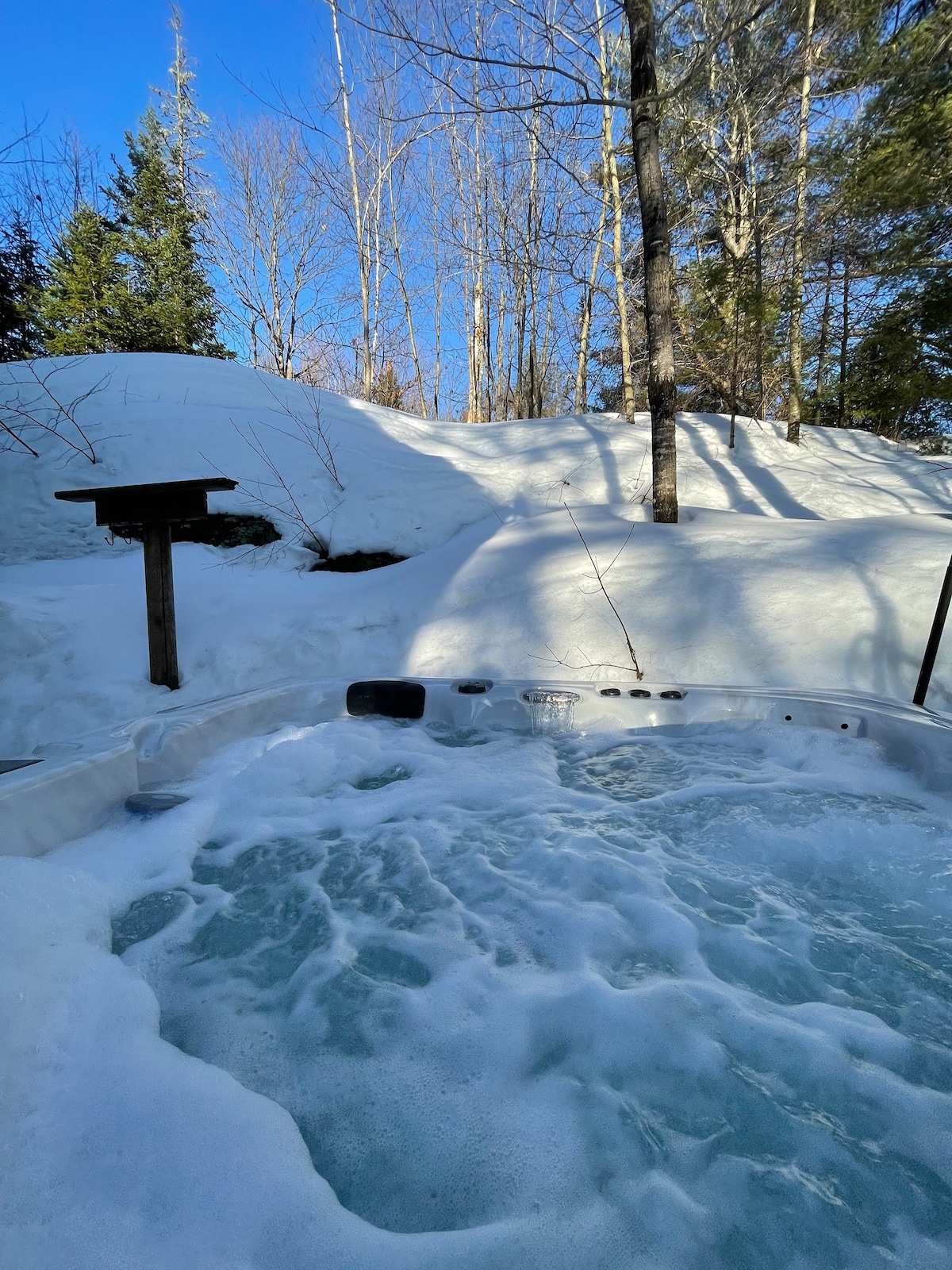 Chalet 9 personnes avec spa et piscine