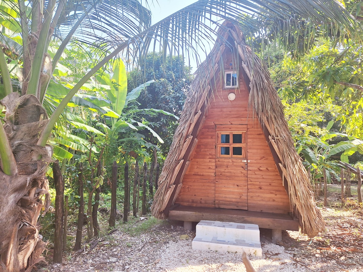 Cabaña LunAzul