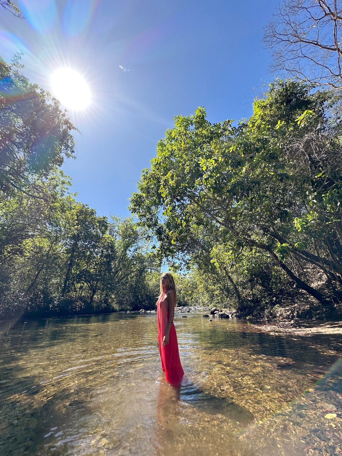 Vila Floresta Tamanduá-bandeira