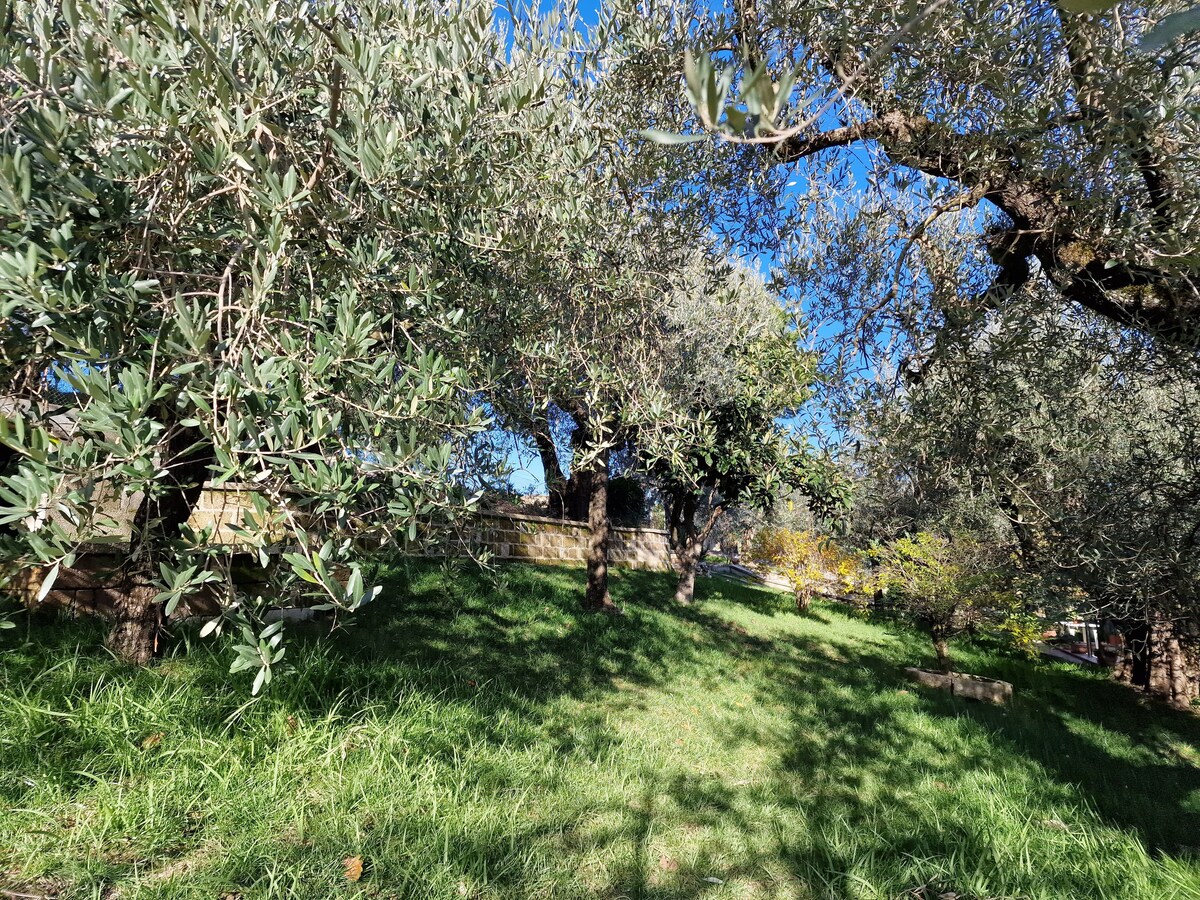 Habitat - Casa Vacanze Perugia