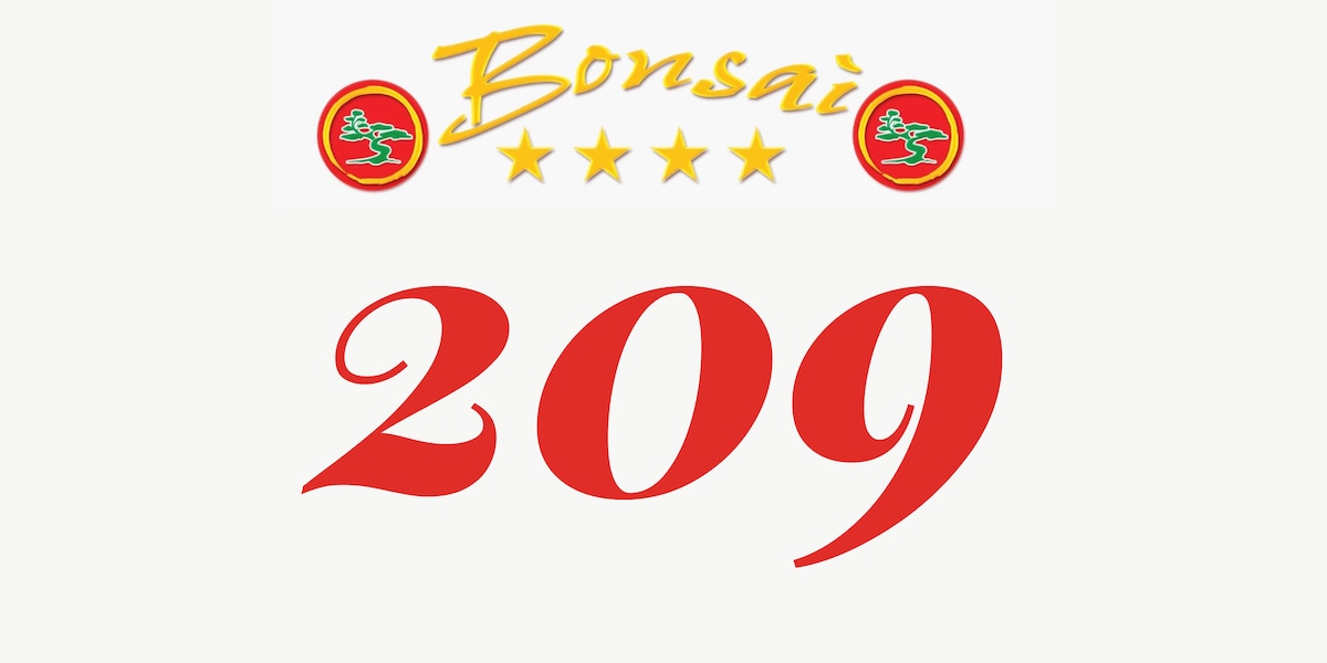 Bonsai Inn - Room 209