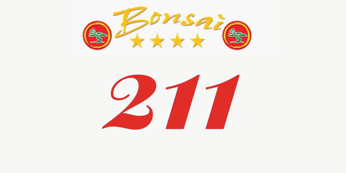 Bonsai Inn - Room 211