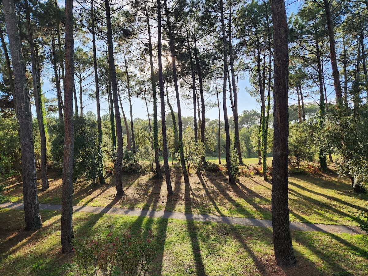 Soustons plage, Domaine du Golf de Pinsolle