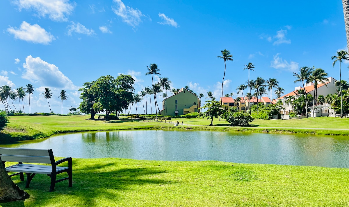 1 BR Beach Apartment, Palmas del Mar