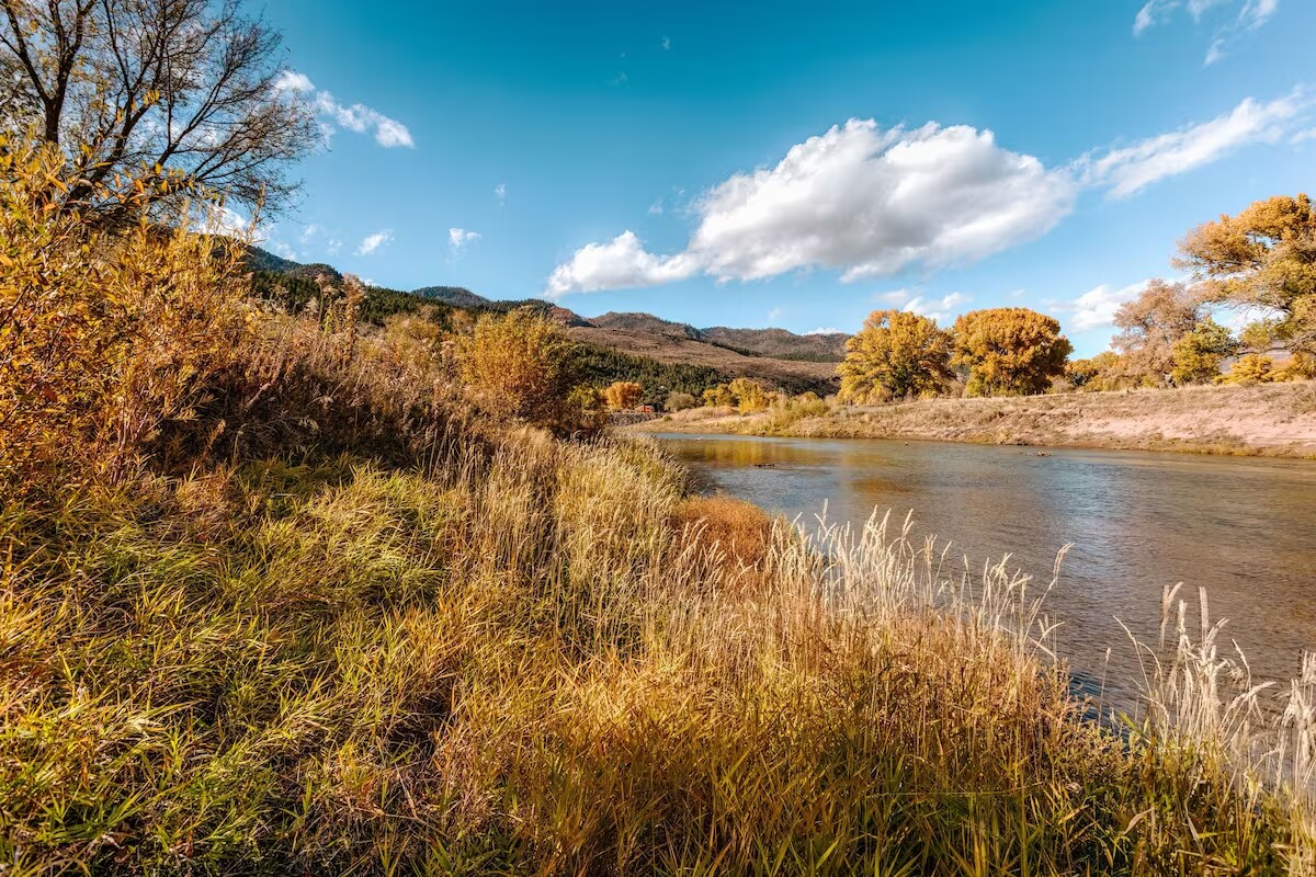 Animas River House