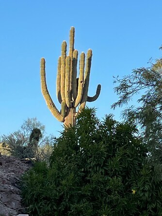 Casa Red Yucca, Gold Canyon, Arizona