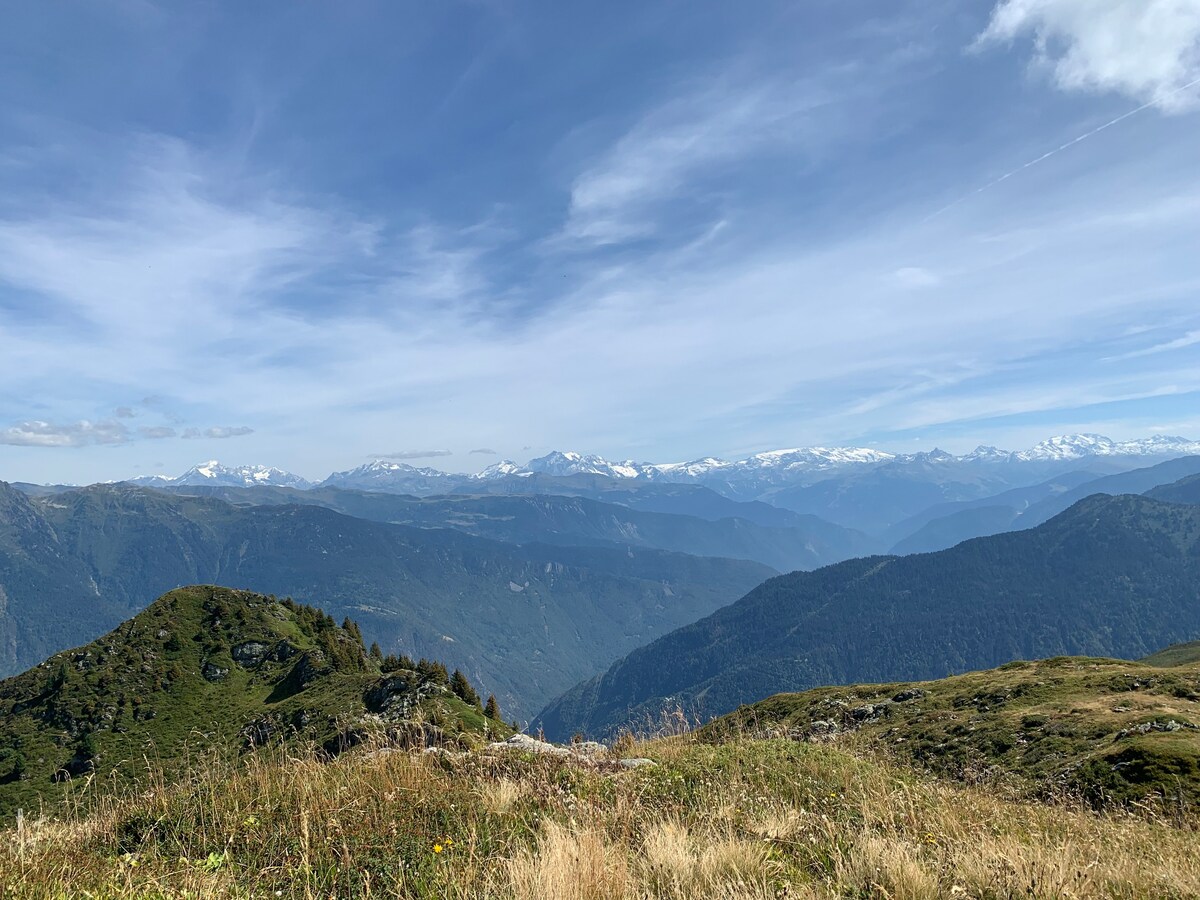 « Au doux savoyard »