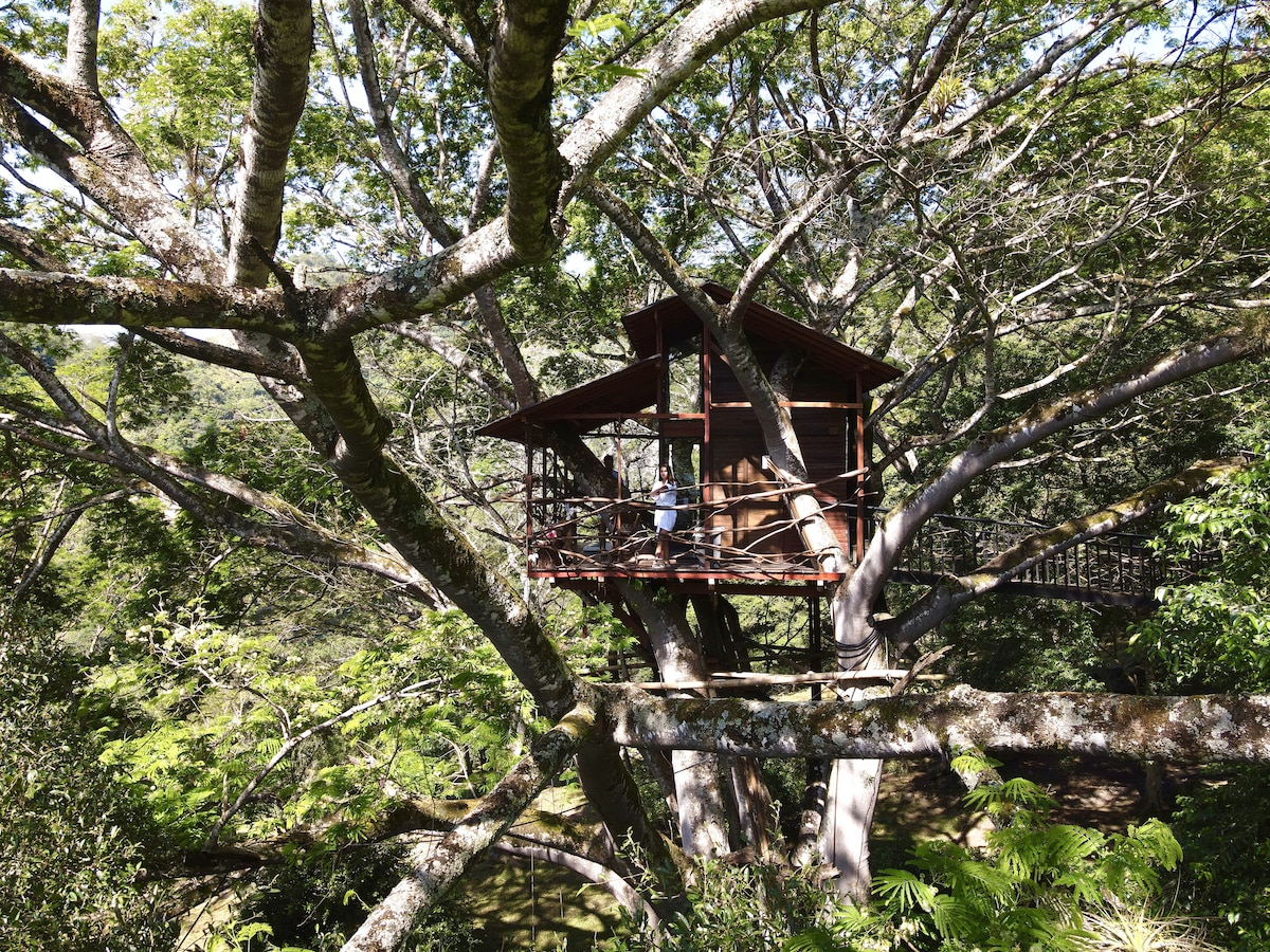 Casa en el árbol ZELVA